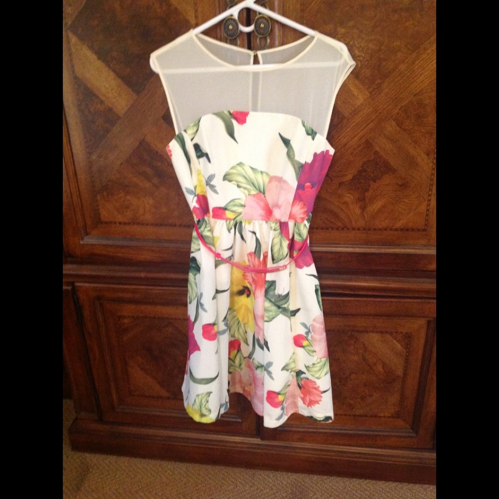 Ted Baker London NWT floral fit and flare dress.